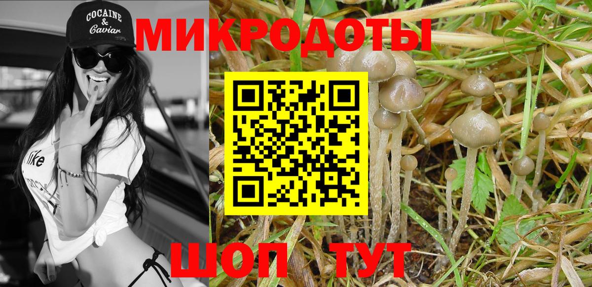 где купить   Вход с VPN  Новокубанск  Галлюциногенные грибы MAGIC MUSHROOMS 